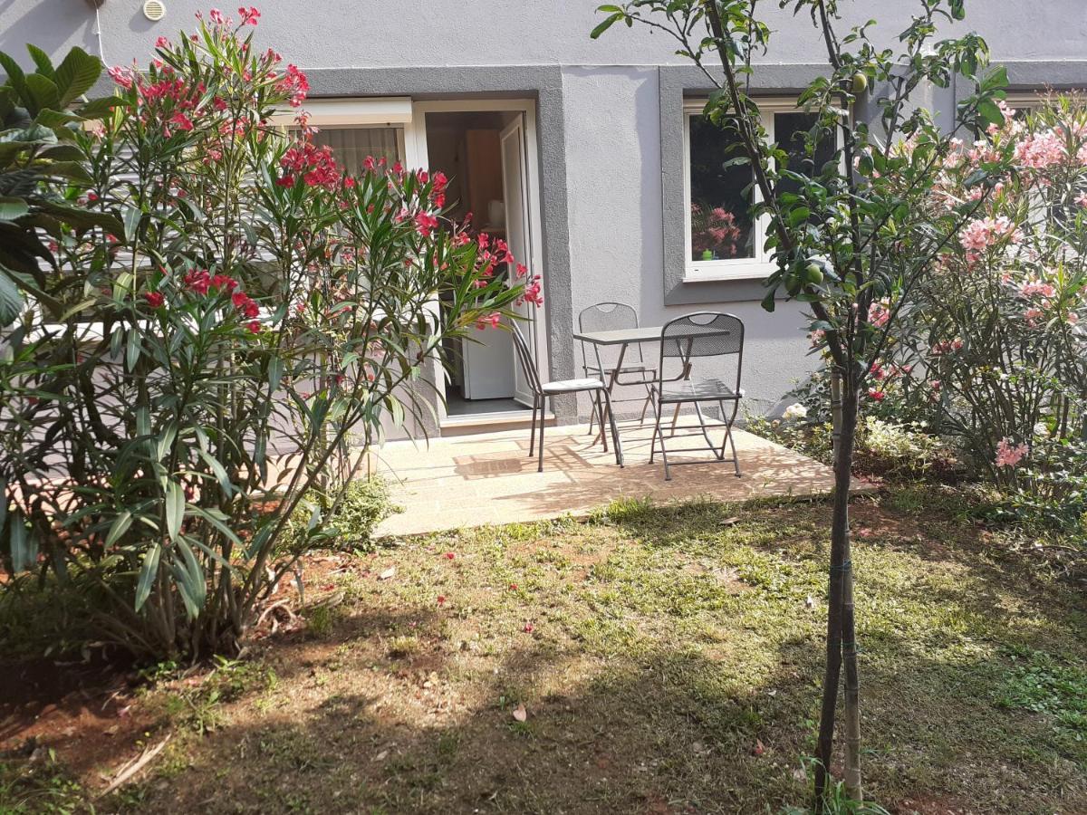 Bed And Breakfast Julia Seget  Dış mekan fotoğraf